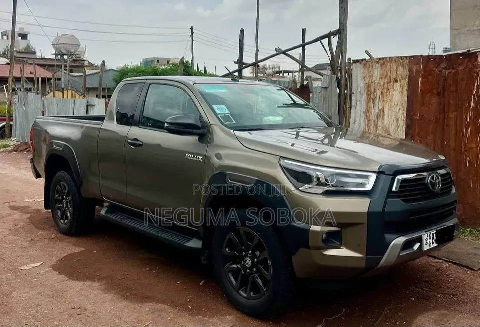Toyota Land Cruiser 2021 Brown