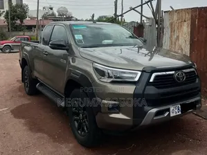 Toyota Land Cruiser 2021 Brown