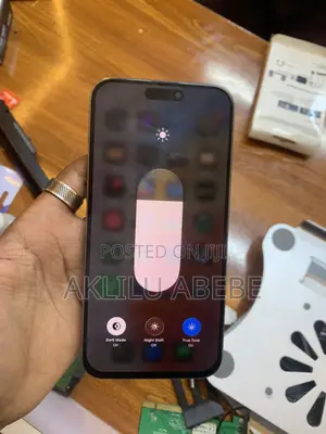 Apple iPhone 15 Pro Max 256 GB Gray