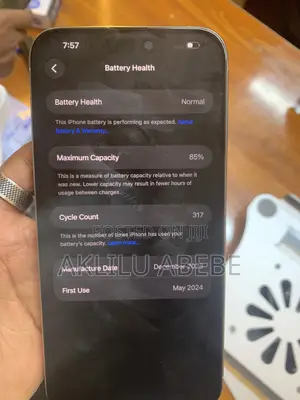 Apple iPhone 15 Pro Max 256 GB Gray