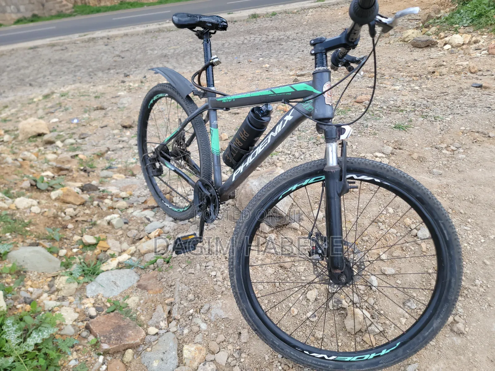 Phoenix Original Bicycle