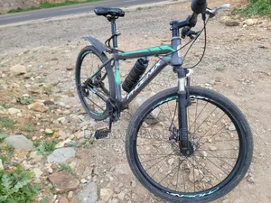 Phoenix Original Bicycle