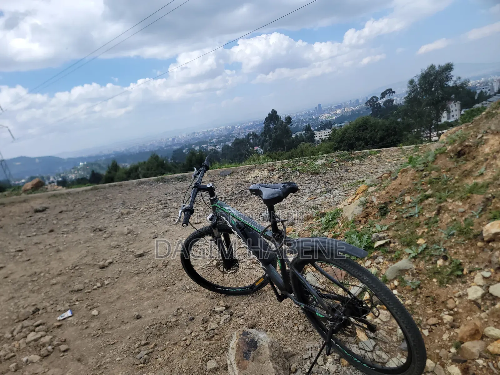 Phoenix Original Bicycle