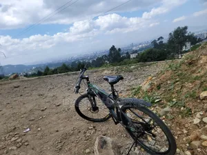 Phoenix Original Bicycle