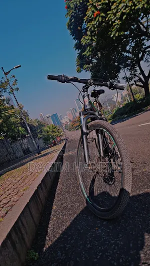 Phoenix Original Bicycle