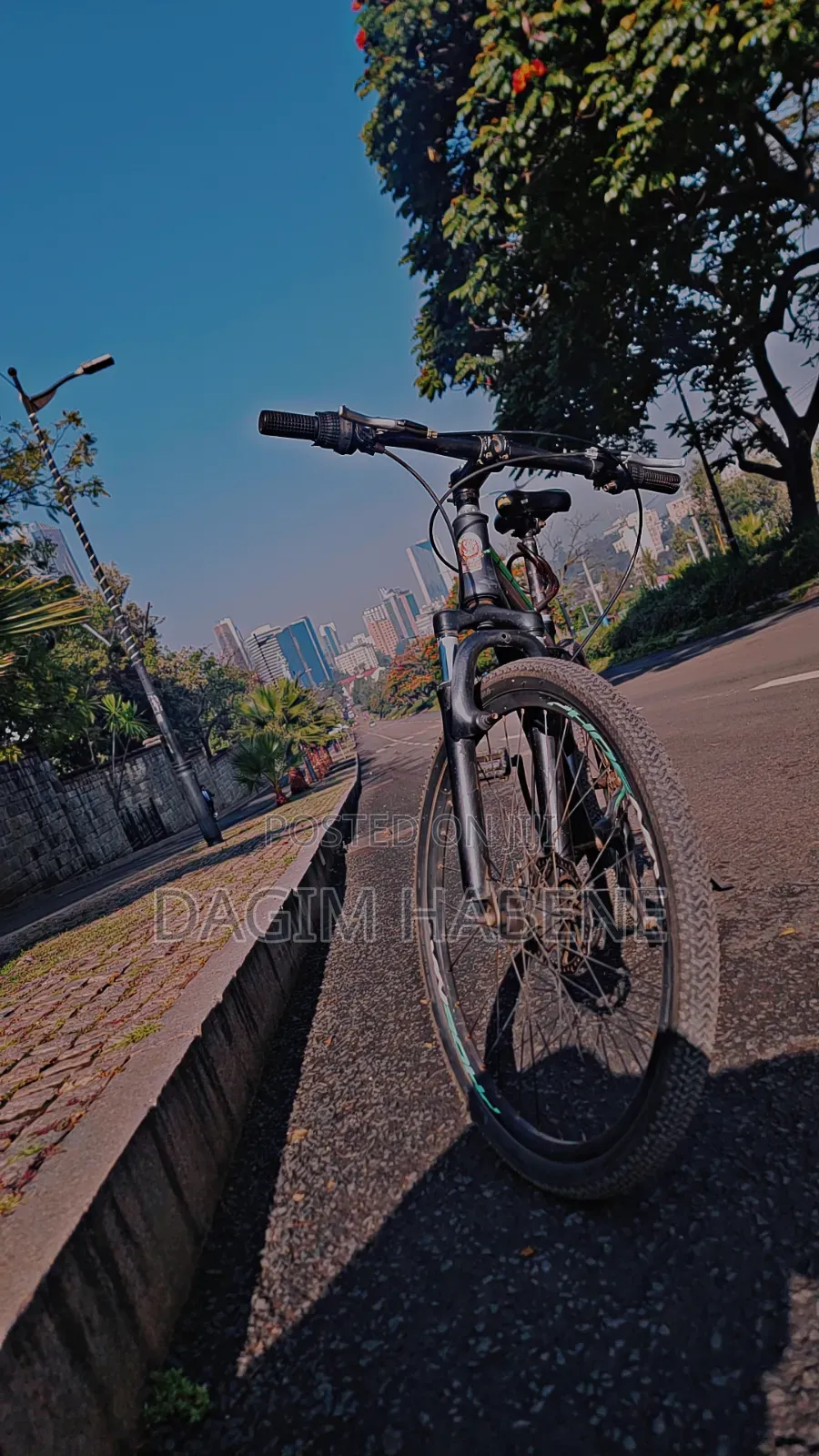 Phoenix Original Bicycle