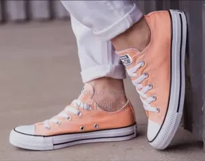 Ladies Canvas Shoes