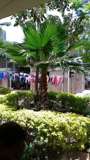 2bdrm Condo in Tes, Yeka for sale