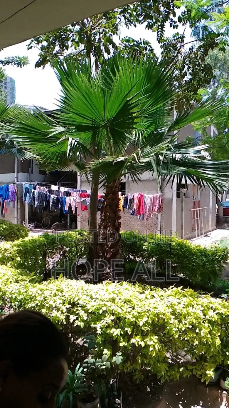 2bdrm Condo in Tes, Yeka for sale