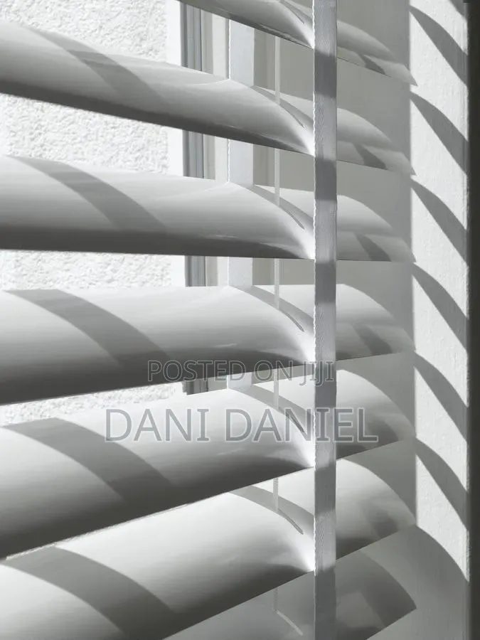 Dani Shatter