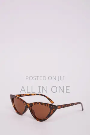 Women’S Black Cat Eye Sunglasses