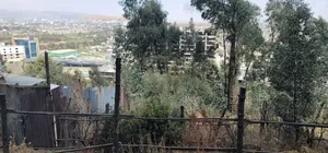 የሚሸጥ ባዶ ቦታ