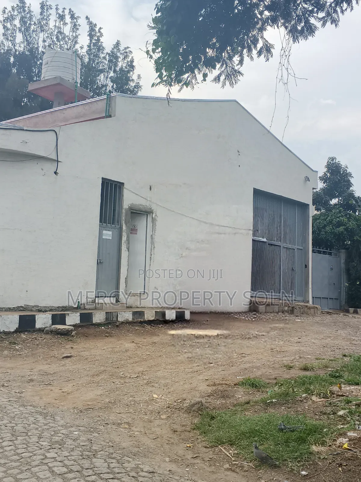 Warehouse for Rent Yerer Goro Area on Asphalt Road