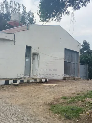 Warehouse for Rent Yerer Goro Area on Asphalt Road