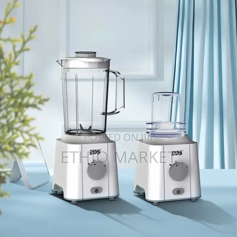 Winning Star St-5374 2-in-1 Blender and Grinder Set