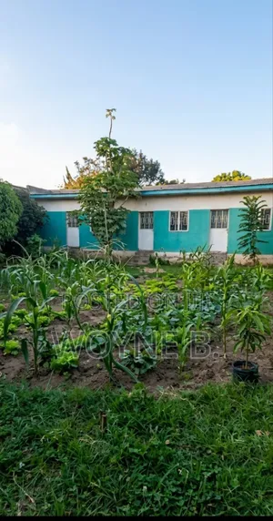 Premium Property for Sale