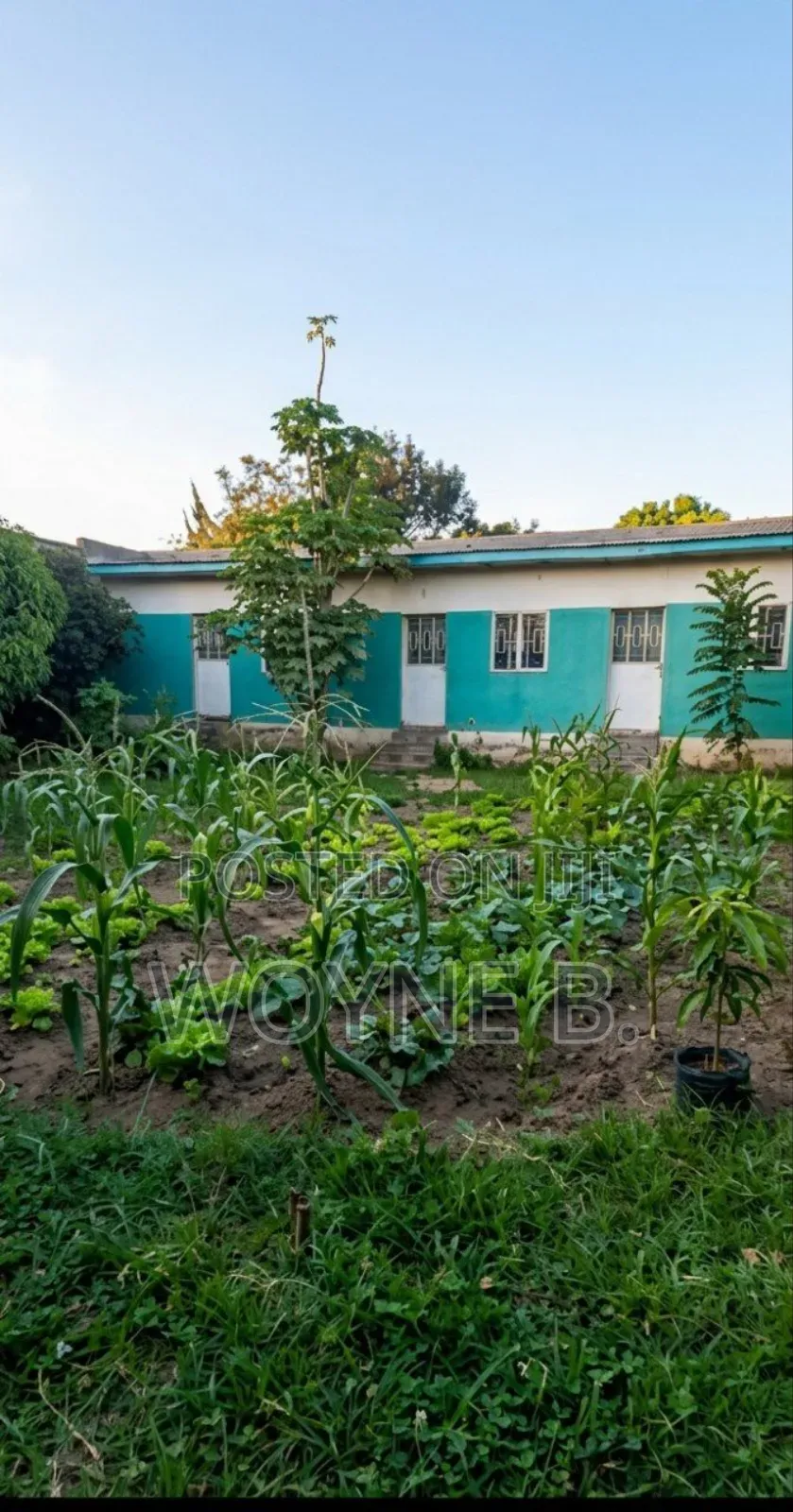 Premium Property for Sale