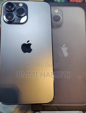 New Apple iPhone 13 Pro Max 256 GB Gray