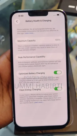 New Apple iPhone 13 Pro Max 256 GB Gray