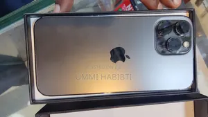 New Apple iPhone 13 Pro Max 256 GB Gray