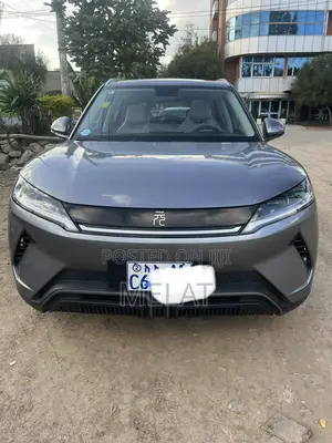 BYD Yuan Up 45 kWh FWD 2024 Gray