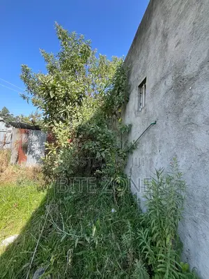 Tafo 317m2
