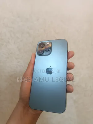 Apple iPhone 13 Pro Max 256 GB Gray