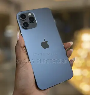 New Apple iPhone 12 Pro Max 256 GB Gray