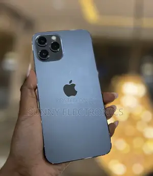 New Apple iPhone 12 Pro Max 256 GB Gray