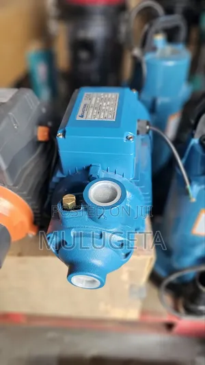 Aqastrong Serfase Pump