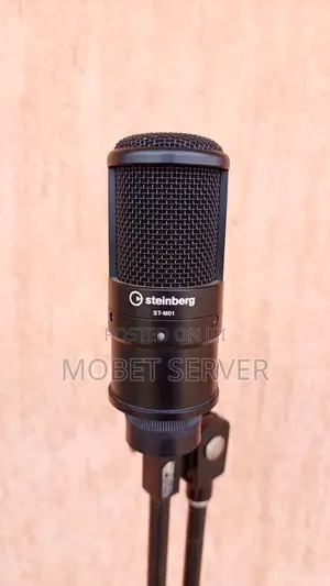 Sternberg XLR Microphone