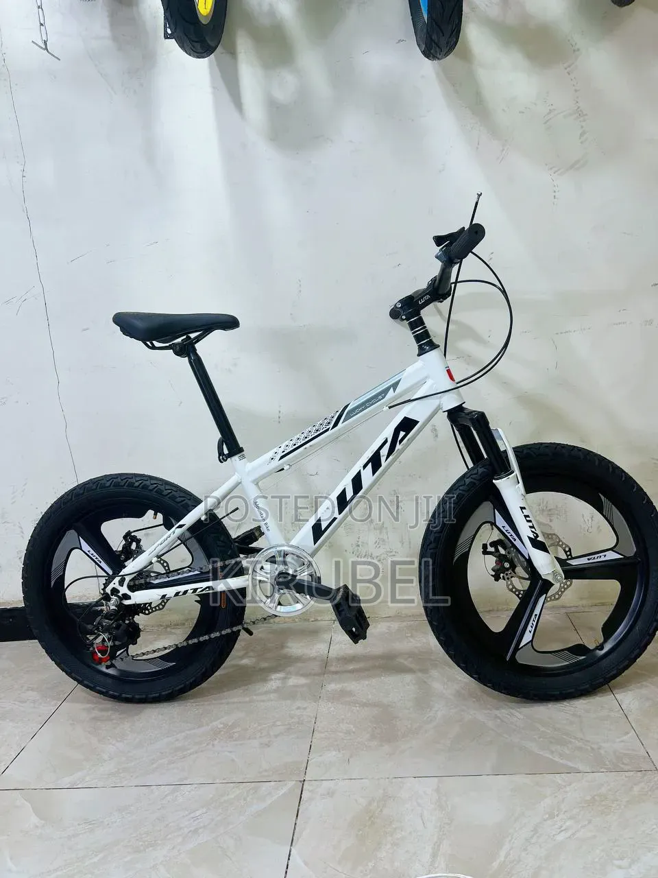 Luta 20 Inch Bicycle | 21 Speed | Dual Disc Brake | Magnesium Wheels
