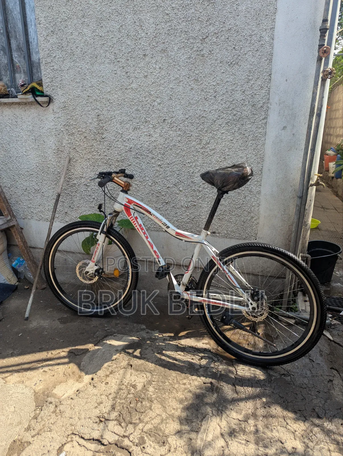 Special Bike