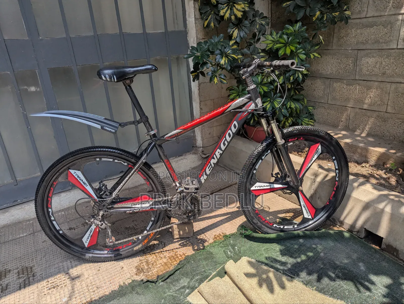 Kenagoo Bike