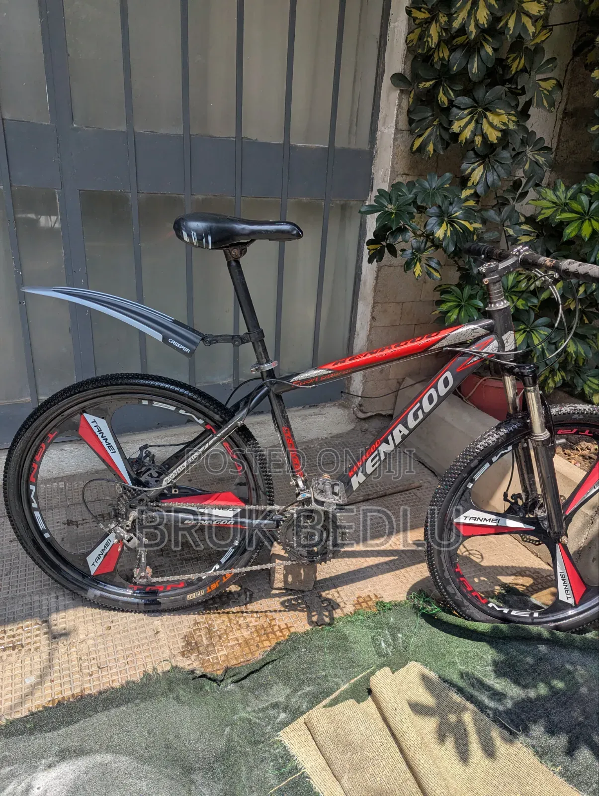 Kenagoo Bike
