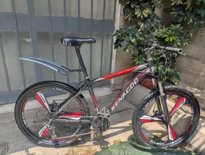Kenagoo Bike