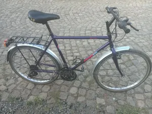 Phonex Bicycle