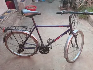 Phonex Bicycle