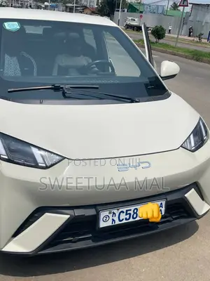BYD Seagull 38 kWh FWD 2024
