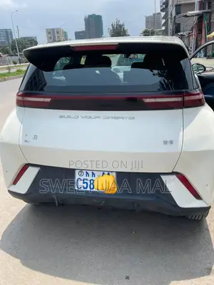 BYD Seagull 38 kWh FWD 2024
