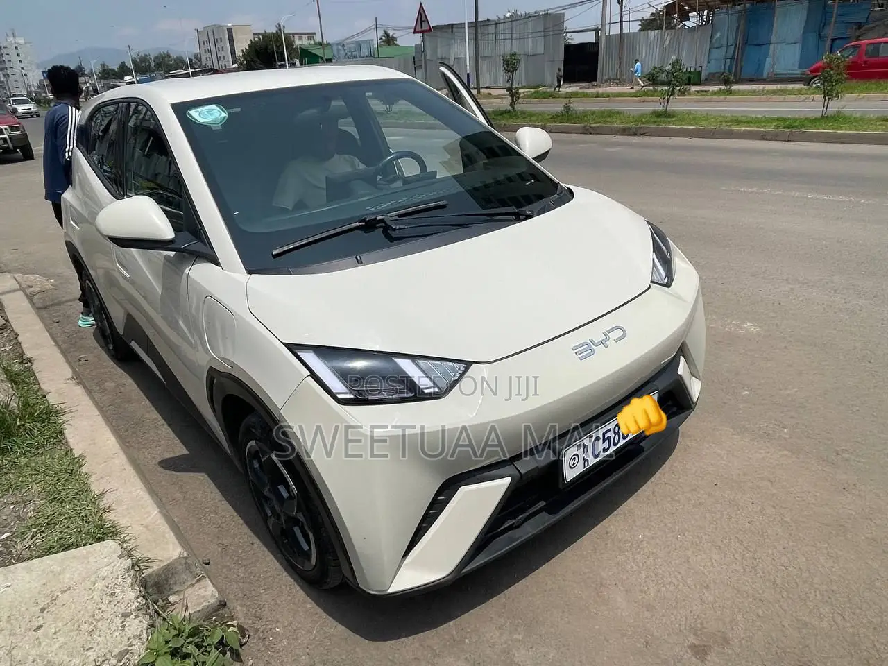 BYD Seagull 38 kWh FWD 2024