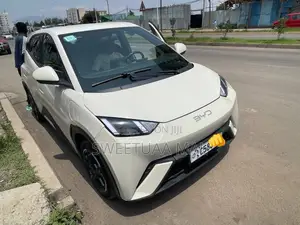 BYD Seagull 38 kWh FWD 2024