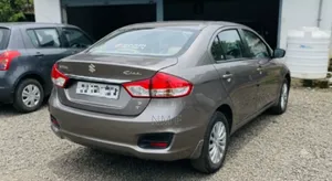 Suzuki Ciaz 2019 Gray