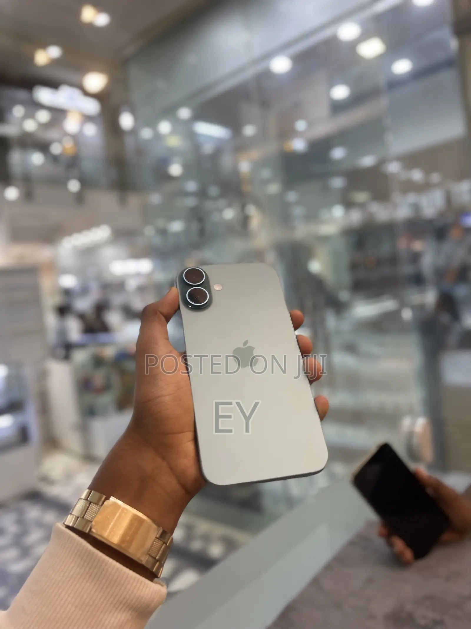 Apple iPhone 16 Plus 256 GB