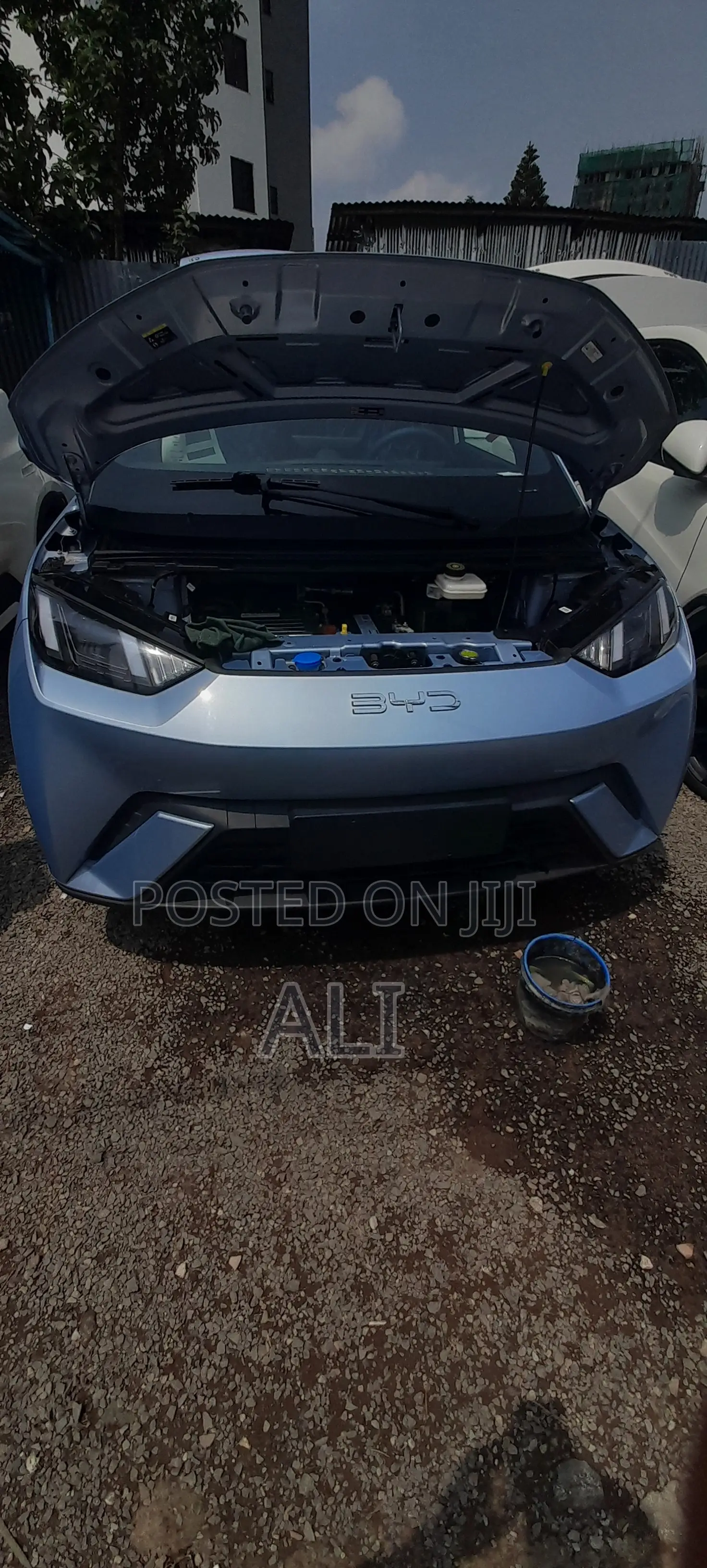 New BYD Seagull 2025 Blue