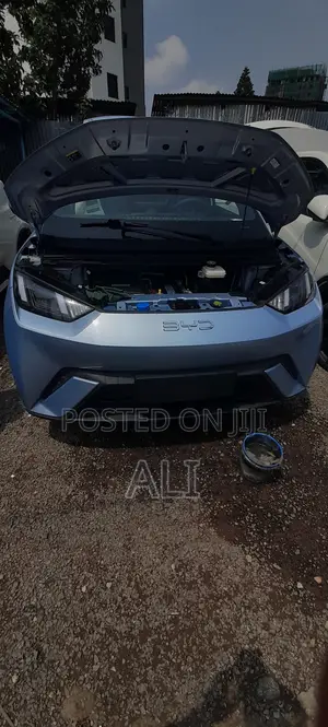 New BYD Seagull 2025 Blue