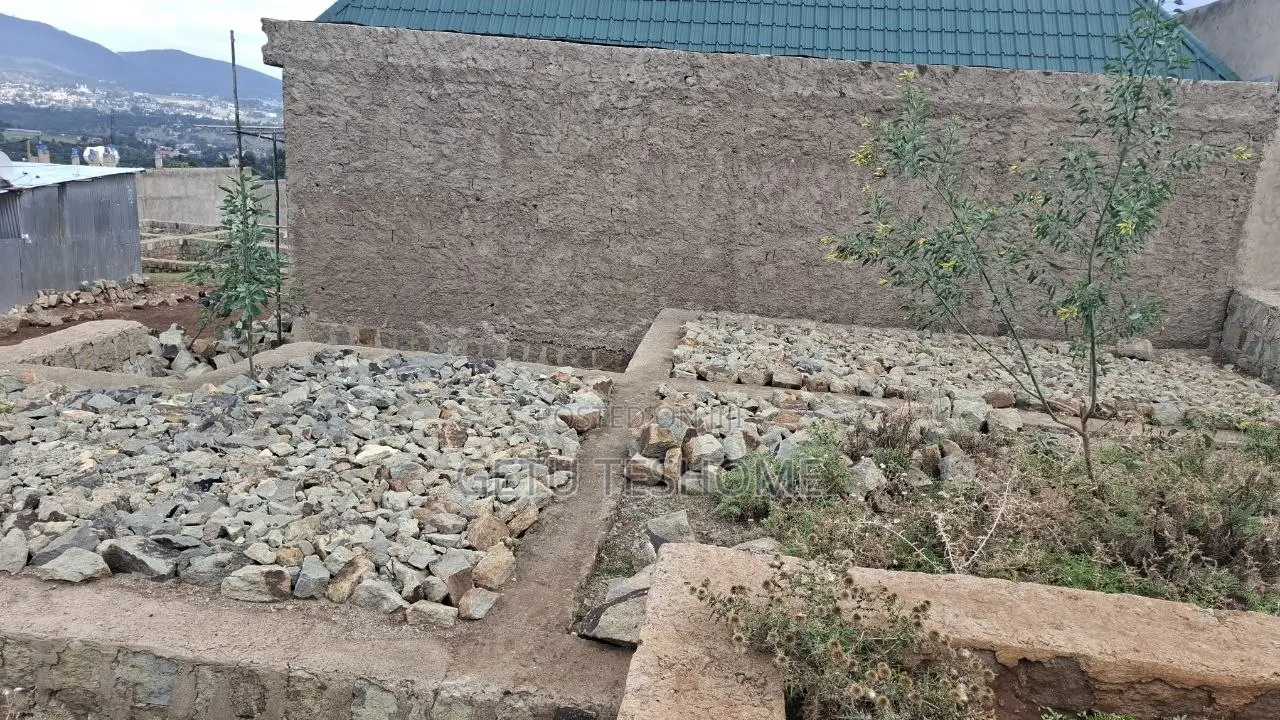 Land Foundation