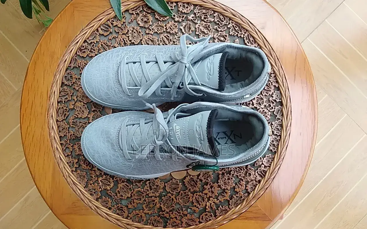 Lebron NXXT Gen Basketball Sheos Nike