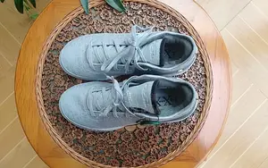 Lebron NXXT Gen Basketball Sheos Nike