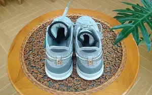Lebron NXXT Gen Basketball Sheos Nike